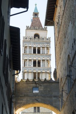 緑スポーツ ピックアップ トラックのイラスト)