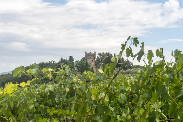 Chianti, Toscane — Stockfoto