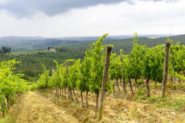 Chianti, Toskana