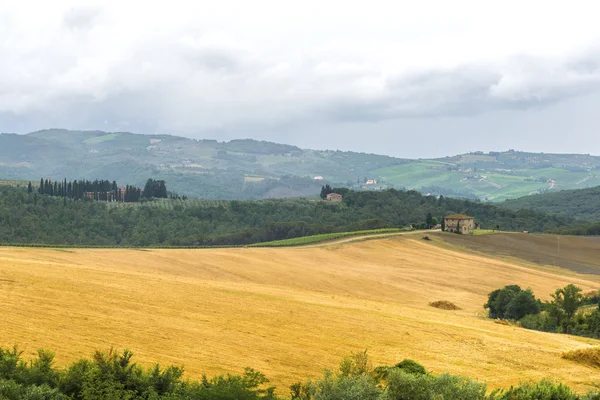 Chianti Toskania — Zdjęcie stockowe