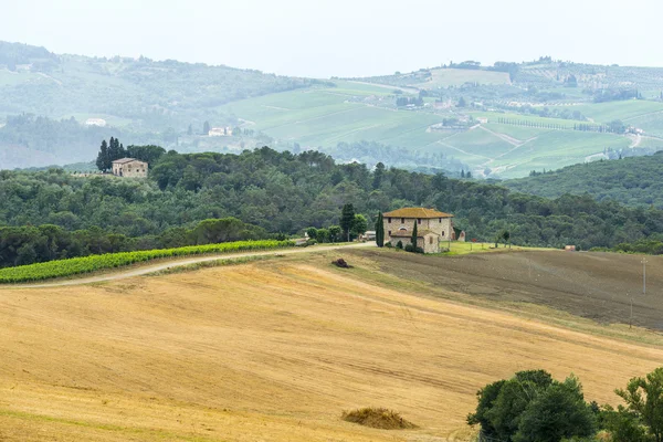 Paisaje in Chianti (Florencia, Toscana, Italia) con olivos y cipreses en verano — Foto de Stock