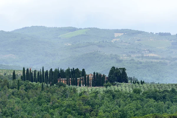 Paisaje in Chianti (Florencia, Toscana, Italia) con olivos y cipreses en verano — Foto de Stock