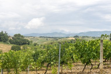 Chianti, Toskana