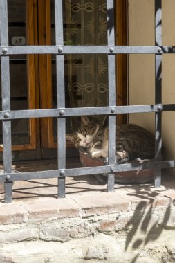 Colle di val d'elsa (Toskana)