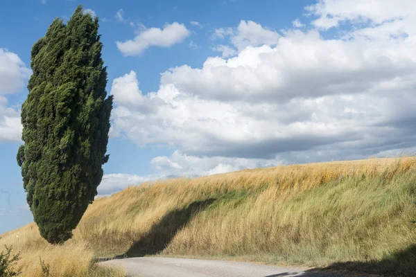 Girit senesi (Toskana, İtalya) — Stok fotoğraf