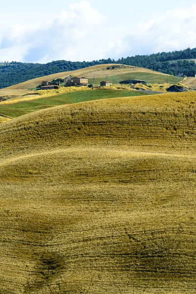 Crete Senesi (Toscana, Italia) ) — Foto Stock