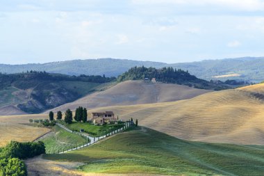 Girit senesi (Toskana, İtalya)