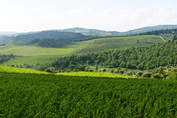 Chianti, Toscana — Stockfoto