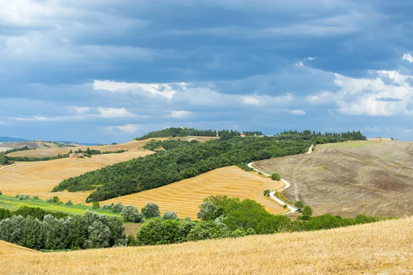 Girit senesi (Toskana, İtalya) — Stok fotoğraf