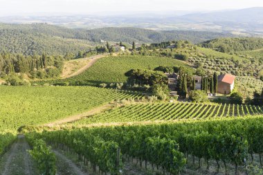 Chianti, Toskana