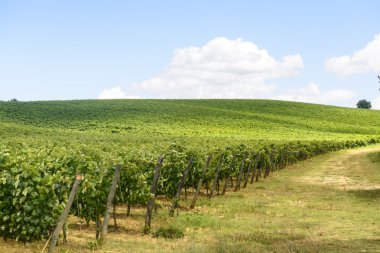 Colle di val d'elsa (Toskana)