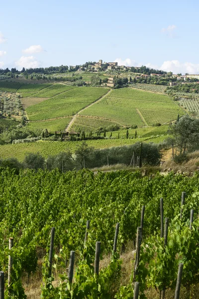 Chianti, Toscana — Fotografia de Stock