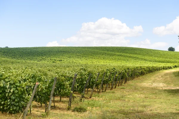 Colle di val d'elsa (Toskánsko) — Stock fotografie