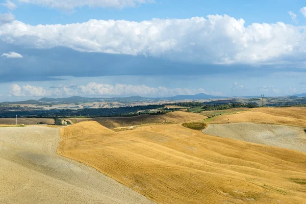 Крит senesi (Тоскана, Італія) — стокове фото