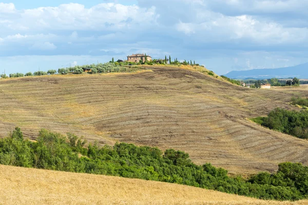 Girit senesi (Toskana, İtalya) — Stok fotoğraf