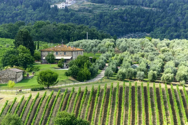 Chianti, Toscana — Stockfoto