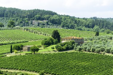 Chianti, Toskana