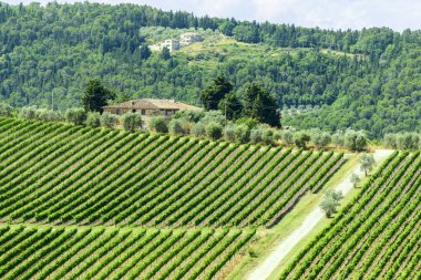 Chianti, Toskana