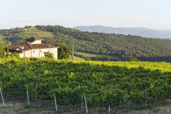 Chianti, Τοσκάνη — Φωτογραφία Αρχείου