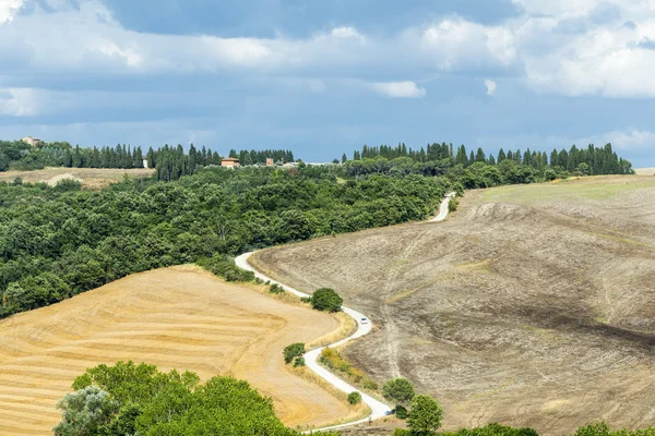 Girit senesi (Toskana, İtalya) — Stok fotoğraf