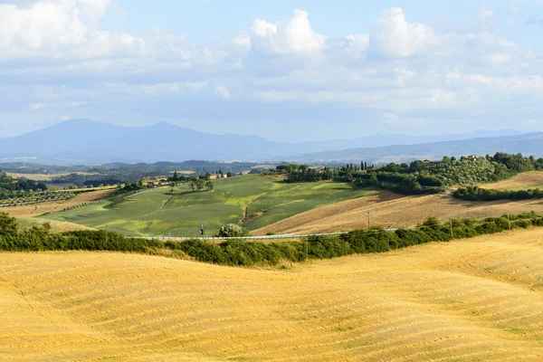 Crete senesi (Toscana, Italien) — Stockfoto