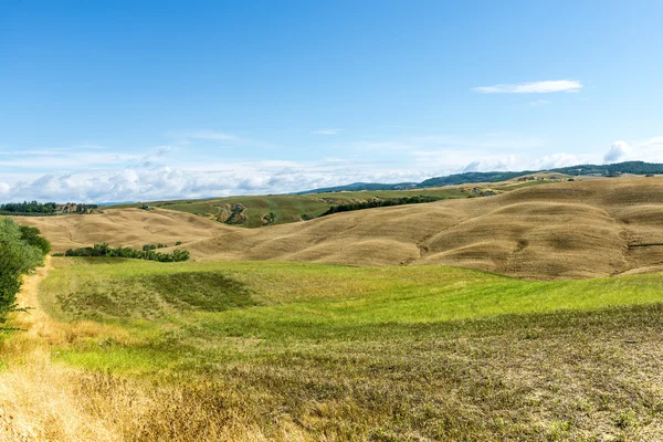 Crete senesi (Toskánsko, Itálie) — Stock fotografie