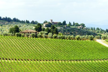 Chianti, Toskana