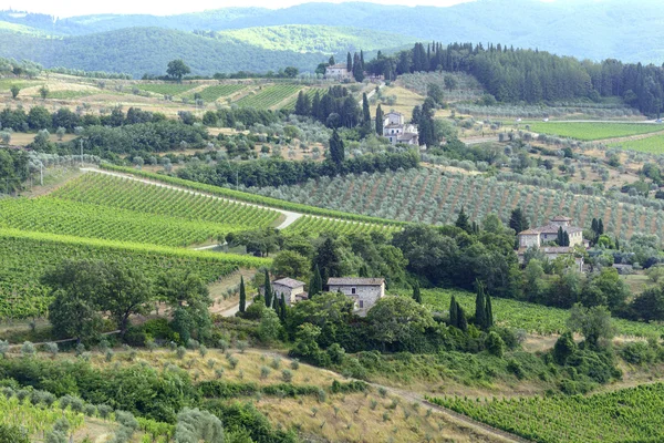 Chianti, Toskánsko — Stock fotografie