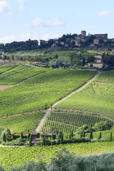 Chianti, Toskana — Stockfoto