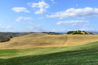 Girit senesi (Toskana, İtalya)