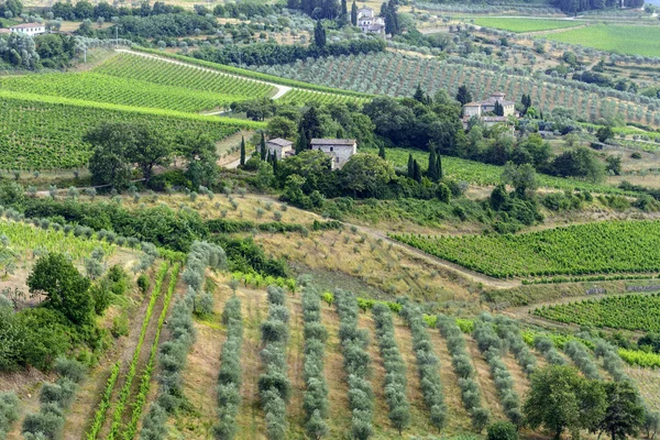 Chianti, Toscana — Fotografia de Stock