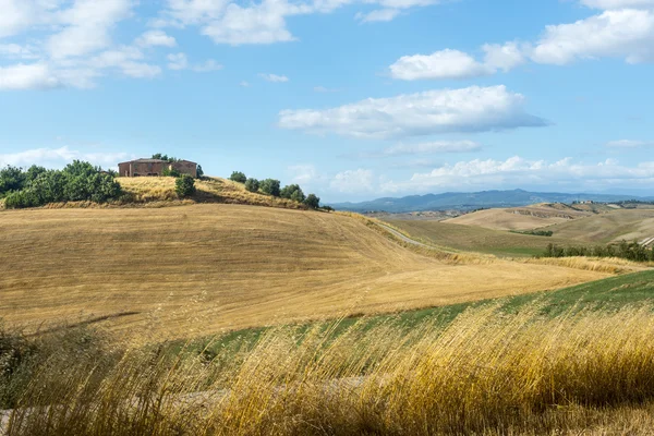 Κρήτη senesi (Τοσκάνη, Ιταλία) — Φωτογραφία Αρχείου