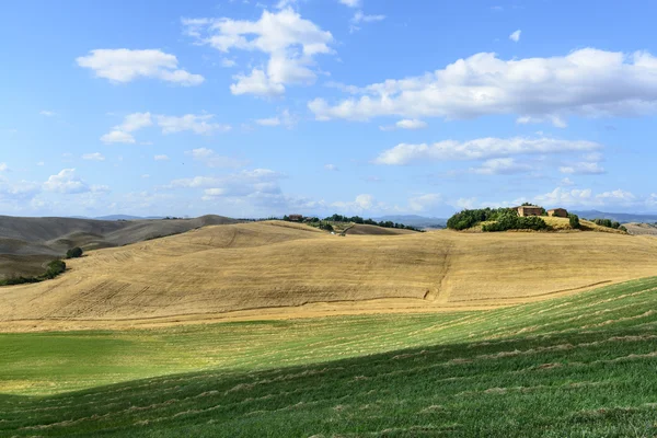 Girit senesi (Toskana, İtalya)