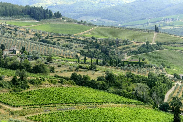 Chianti, Toskánsko — Stock fotografie