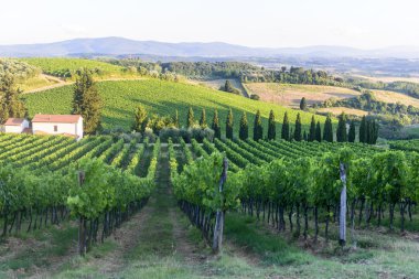 Chianti, Toskana