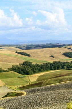 Girit senesi (Toskana, İtalya)