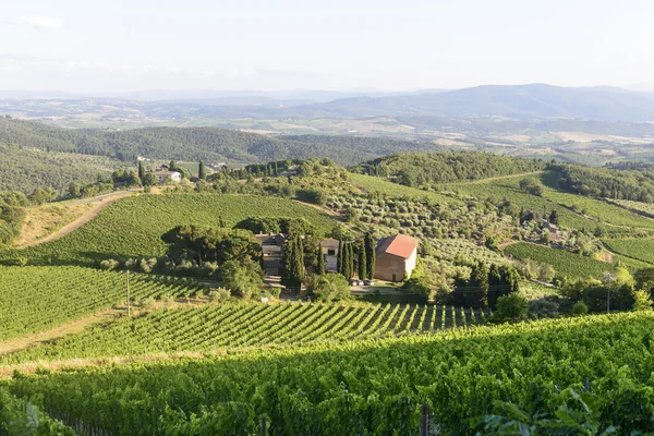 Chianti, Toscana — Fotografia de Stock