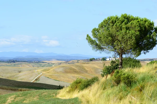 Crete senesi (Toskánsko, Itálie) — Stock fotografie