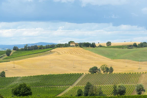 Montalcino (Tuscany, Italy) — Stock Photo, Image