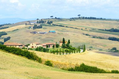 Girit senesi (Toskana, İtalya)