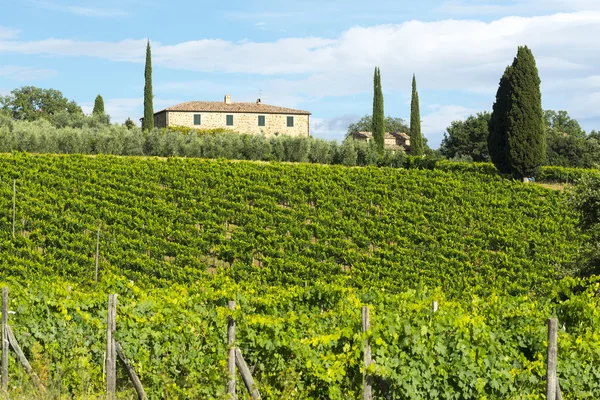 Montalcino (Toskana, İtalya) — Stok fotoğraf