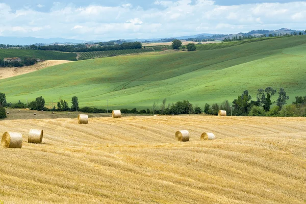 Montalcino (toskana, italien) — Stockfoto