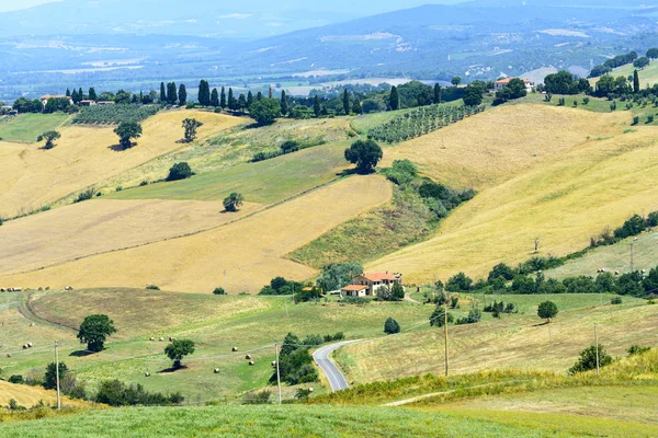 Maremma (Тоскана, Италия) ) — стоковое фото