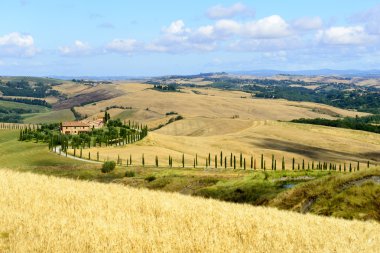 Girit senesi (Toskana, İtalya)