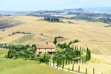 Girit senesi (Toskana, İtalya)