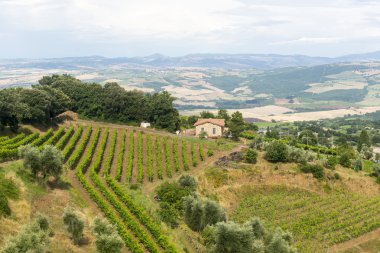 Montalcino (Toskana, İtalya)
