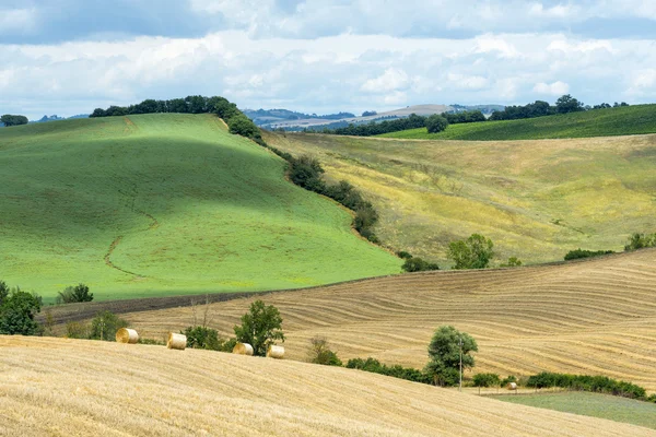 Montalcino (Toskánsko, Itálie) — Stock fotografie