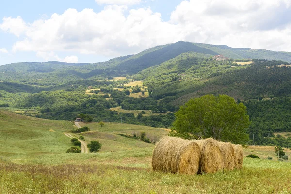 Maremma (Toscana, Italia) ) —  Fotos de Stock