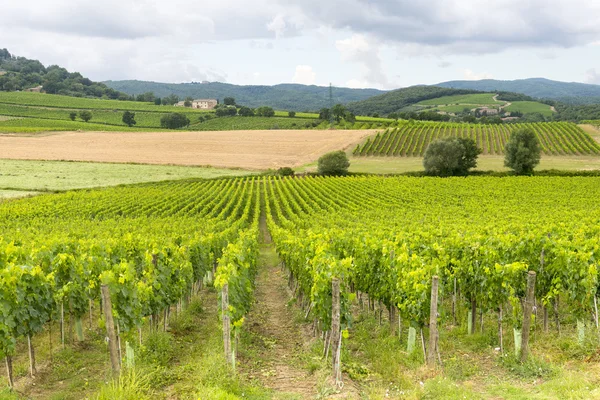 Montalcino (Toscana, Itália) ) — Fotografia de Stock