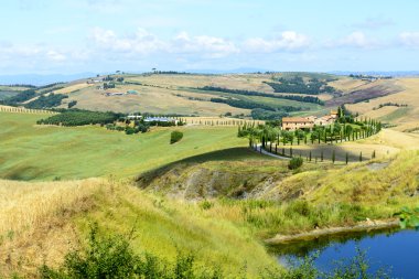 Girit senesi (Toskana, İtalya)